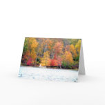 Picture Perfect Fishing Greeting Cards
