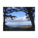 Picture Perfect View postcards