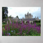 Picture Purple Print