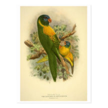pictures of birds gifts postcards online postcards