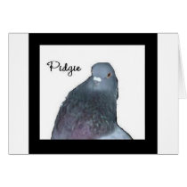 Pidgie Fund Logo