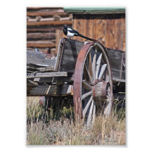 Pie sur le chariot photos sur toile