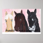 Piebald! Is that a wig then? Poster