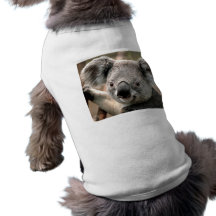 Pièce en t d'animal familier de koala t-shirts pour chien