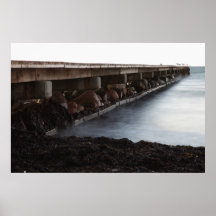Pier Posterdruck