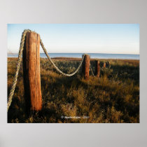Pier Posts Print