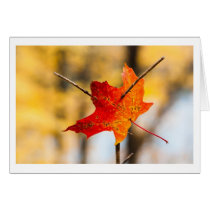 pierced in autumn cards