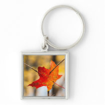 pierced in autumn keychains