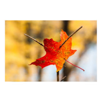 pierced in autumn posters