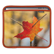 pierced in autumn ipad sleeves