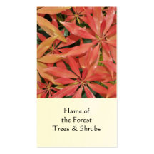 Pieris, Horticultural business card
