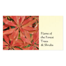 Pieris, Horticultural business card