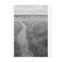Pierport Beach, Michigan Postcards