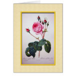 Pierre Joseph Redouté  rose flowers Greeting Card