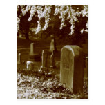 Pierres de tombe de cimetière de Greenwood Cartes Postales