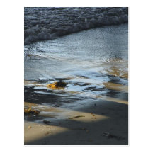 Piers Beaches Ocean Postcard