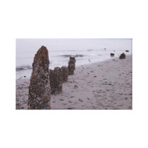 Piers lost to time canvas prints