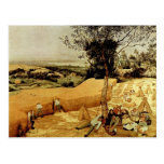 Pieter Bruegel's The Harvesters (1565) Postcard