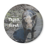 Pig in a Pen Magnet
