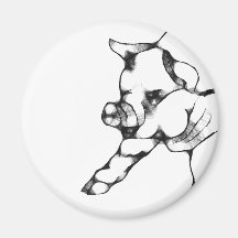 pig magnets