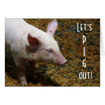Pig Out!   Baby Piglet Photo Cards