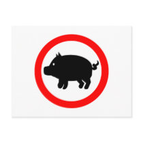 Pig Postcard