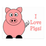 Pig Postcard