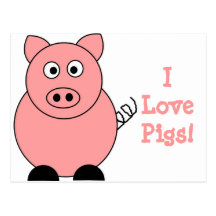 Pig Postcard