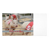 Pig racing, Pig race photograph, pink pig Customized Photo Card