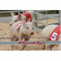 Pig racing, Pig race photograph, pink pig Acrylic Cut Out