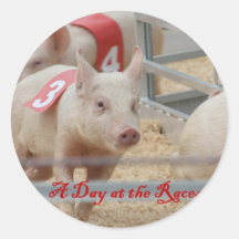 Pig racing, Pig race photograph, pink pig Round Sticker