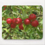 Pigeon apples mouse pads