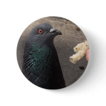 pigeon pin