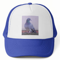 Pigeon copy mesh hats