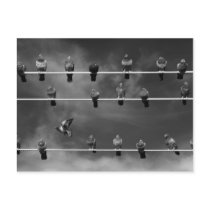 Pigeon Foosball Post Card