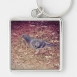 Pigeon Keychains