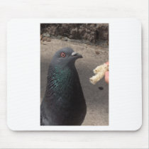 pigeon mouse pads