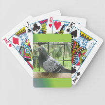 Pigeon Playing Cards