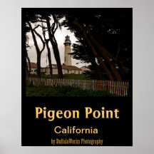 Pigeon Point Fence Posters
