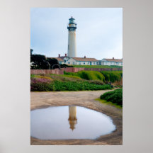 Pigeon Point Reflection Posters