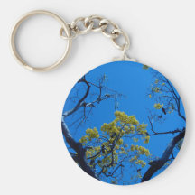 Pigeons Key Chain
