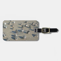 Pigeons Tag For Luggage