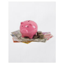 Piggy bank and money flyer design