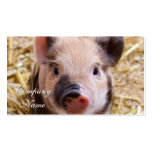 Piglet Business Card