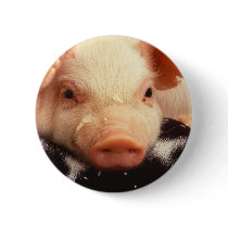 Piglet Pin