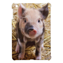 Piglet iPad Mini Covers