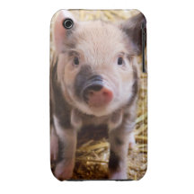 Piglet iPhone 3 Case-Mate Cases
