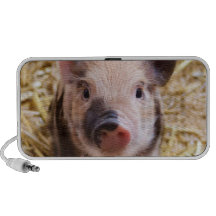 Piglet iPhone Speaker