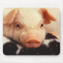 Piglet Mouse Pad