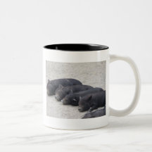 Piglets Coffee Mugs
